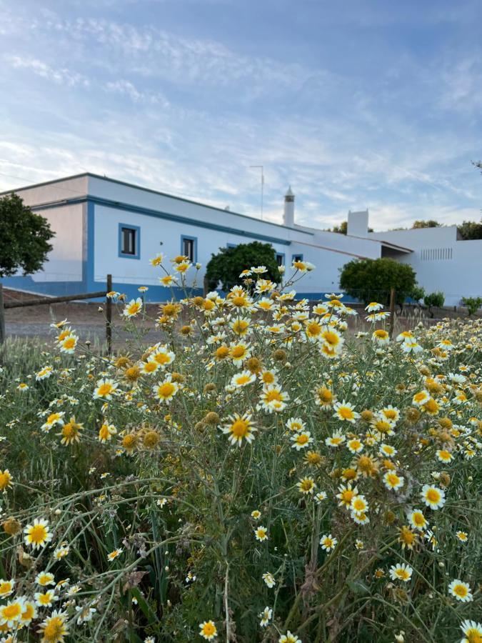 Villa Monte Novo - Country House Monsaraz Exterior foto